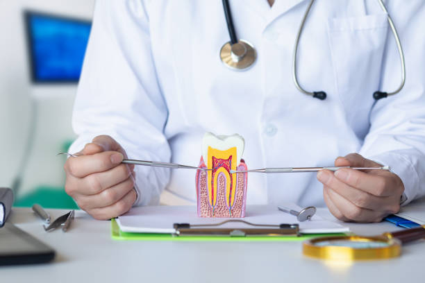 Best Emergency Orthodontic Repairs in Rock Creek, MN